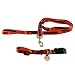 PET SET--MED -CHI BEARS - Medium