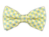 Linen Gold Diamante Patterned Self-Tie Bow Tie