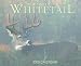 Book Seasons of the Whitetail