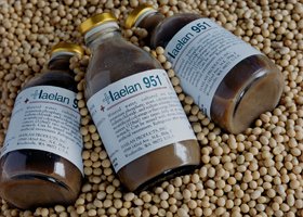 Haelan 951 Soy Beverage Box