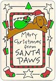 Crunch Card “Merry Christmas from Santa Paws”