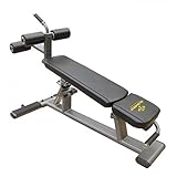 Element Fitness Commercial Ab/Crunch Bench