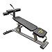 Element Fitness Commercial Ab/Crunch Bench