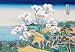 30 x 20 Stretched Canvas Poster Cherry Blossom Festival