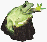 Tools & Hardware : ART LINE INC #3360 LGTD Frog/Dragonfly