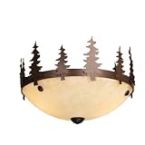 Vaxcel LK38312BBZ-C Yellowstone Kit in Burnished Bronze