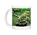 Photo Mugs of Asia, Japan, Kyoto from Danita Delimont