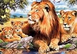 Jumbo Puzzle - Family of Lions (500 pieces)
