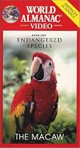 Save the Endangered Species-The Macaw [VHS]
