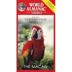 Save the Endangered Species-The Macaw [VHS]