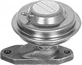 Borg Warner EGR970 Egr Valve