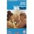 Riff Raff [VHS] [1991]