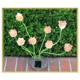 Sohodecor Decorative Garden Tulip Solar Lights 8 LED