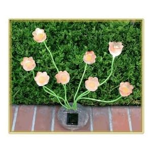 Sohodecor Decorative Garden Tulip Solar Lights 8 LED