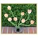 Sohodecor Decorative Garden Tulip Solar Lights 8 LED