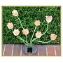 Sohodecor Decorative Garden Tulip Solar Lights 8 LED