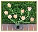 Sohodecor Decorative Garden Tulip Solar Lights 8 LED