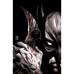 Batman: Face the Face book cover