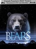 Bears [2003] [DVD]