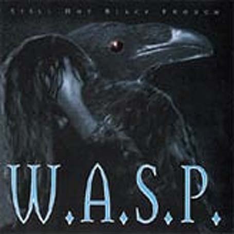 WASP - Still Not Black Enough - Zortam Music