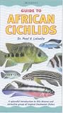 Guide to African Cichlids