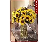 Premium Sunflower Harvest Bouquet