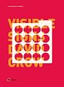Visible Signs: An Introduction to Semiotics (Advanced Level)