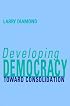 Developing Democracy: Toward Consolidation