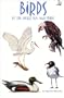 Birds of the Water, Sea, and Shore