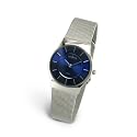 Skagen Ladies Silver And Blue Stainless Steel Analogue Watch 233sssn