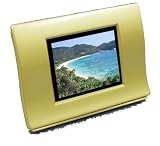 デジポッド2.4(Digi-Pod2.4) シャンパンゴールド