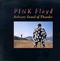 Delicate Sound of Thunder