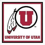 Utah Utes Paper Cube