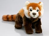  Roter Panda,...