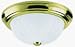 BN CEILING FIXTURE (Westinghouse Lighting 64363)