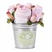 Baby : The Baby Bunch Bath Bucket Pink 0 to 24 Months