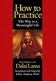 How To Practice (His Holiness the Dalai Lama)