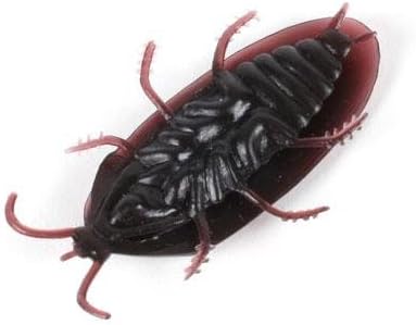 15 Fake Roaches