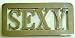 Custom Name Chrome Belt Buckle 2-7 Letters