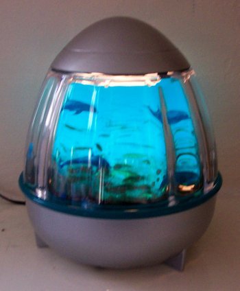 Childrens Toyshop  Toys : Fish lamp