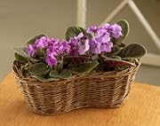 Floral Violet Gift Basket By Windowbox.com