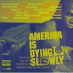 America is Dying Slowly
