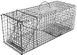 Live Animal Trap: Cat or Rabbit with Collapsible Single Door