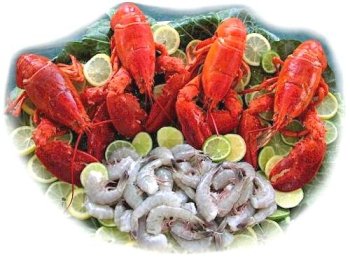 Lobster Party, 4 Live Lobsters and 2 lbs. Jumbo Shrimp by Charleston Seafood