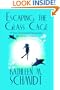 Escaping the Glass Cage: A Story of Survival & Empowerment from Domestic Violence
