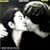 Double Fantasy
