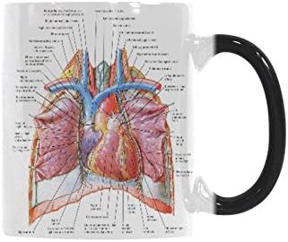 Custom Heart Netter Morphing Mug Sensitive Color Changing Coffee Cup by CLAN1984
