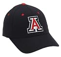 Arizona Wildcats Wool Team Color One Fit Hat