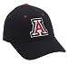 Arizona Wildcats Wool Team Color One Fit Hat