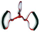 Petsafe Bottom'S Up Leash Osfa, Red